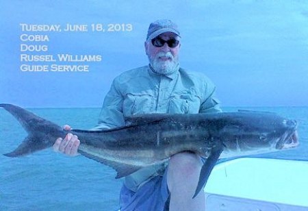 Russel Williams has earned the name "Cobia Killer" with catches like this brought in regularly.
